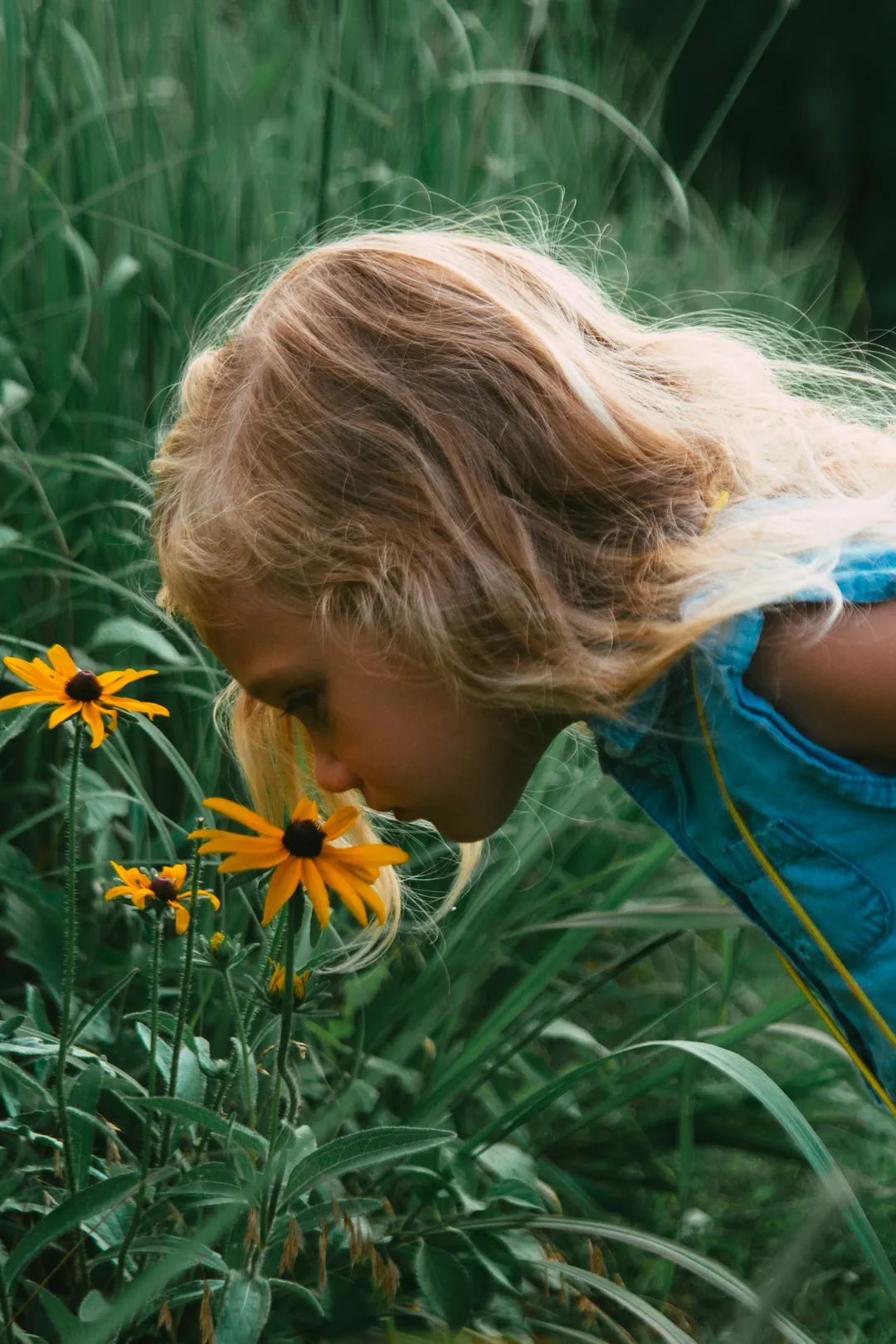 Kind riecht an Blumen auf einer sommerlichen Wiese